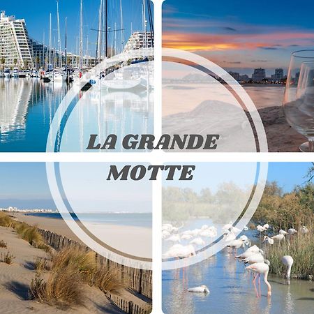 Le Dream Beach-Terrasse-Vue Mer D'Exception-Wifi-Parking - Top Pros Servicesconciergerie Палава-ле-Фло Экстерьер фото